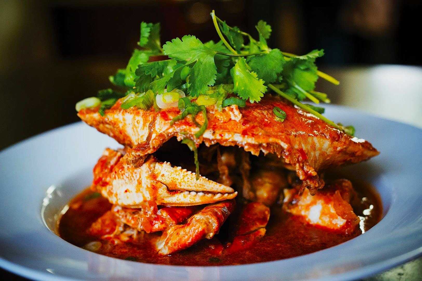 Spicy cooked crab served on a white plate, topped with vibrant green cilantro and surrounded by rich red sauce, conveying a savory and appetizing appearance.